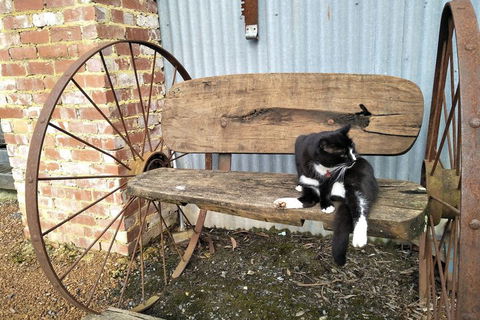 A Twist Of Willow - ACT Tourism 7