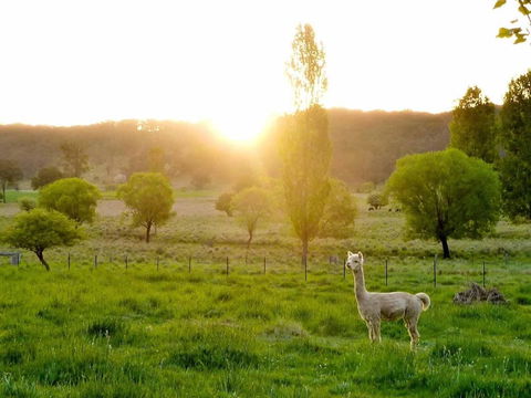Glen Waverly Farmstay - ACT Tourism 6