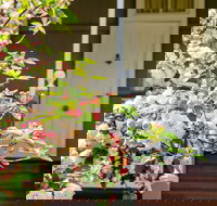 Apple Blossom Cottage - ACT Tourism