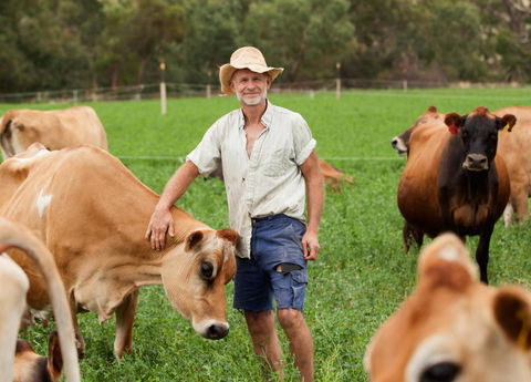 Dairymans Cottage - ACT Tourism 3