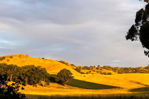 Dairymans Cottage - ACT Tourism 6