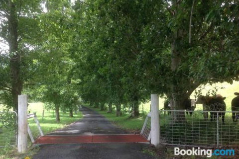 Whispers At Cedar Grove - ACT Tourism 7