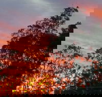 The York Heritage Hotel  Terraces - ACT Tourism