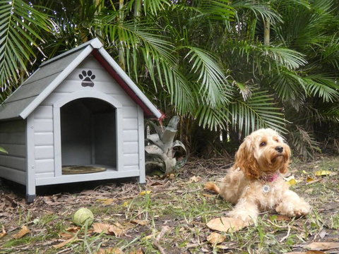 CHILL OUT BEACH HOUSE At FORSTER - ACT Tourism 3