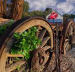 Bellum Hotel - ACT Tourism