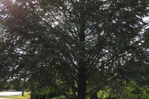 The Glasshouse Boutique Accommodation - ACT Tourism 5