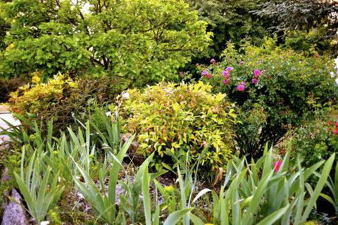 The Glasshouse Boutique Accommodation - ACT Tourism 6