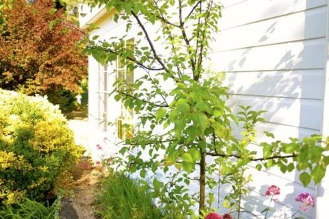 The Glasshouse Boutique Accommodation - ACT Tourism 4