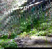 Lemonade Creek Cottages - ACT Tourism