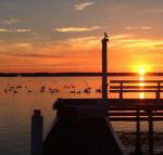 Bayview Boathouse - ACT Tourism