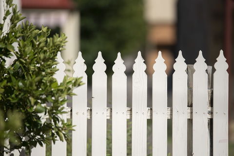 The Nest At Gundaroo - ACT Tourism 3