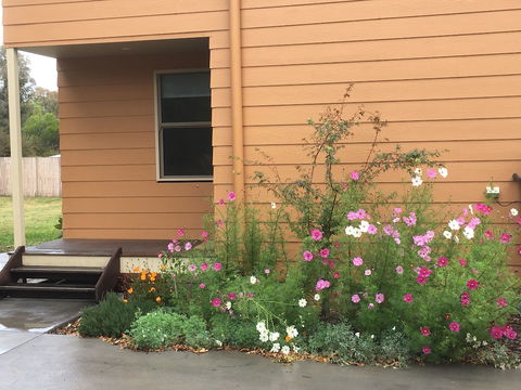 The Nest At Gundaroo - ACT Tourism 0