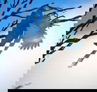 Tenterfield Cottage Holiday House - ACT Tourism