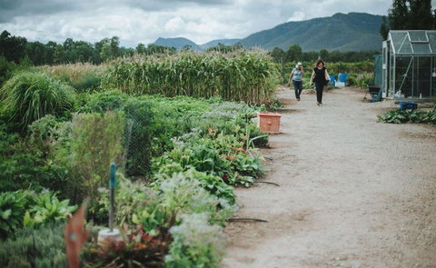 Margan Restaurant - ACT Tourism 6