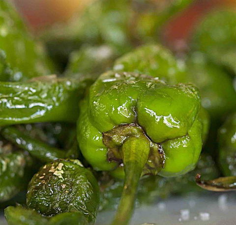 Tapas Tapas Bodega - ACT Tourism 7