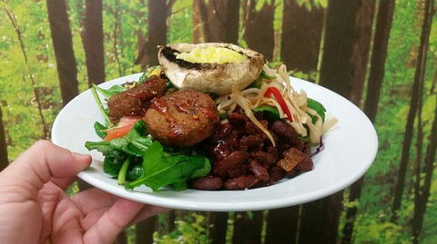 Wild Yam - ACT Tourism 0