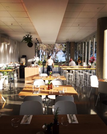 Monkey Business - ACT Tourism 0