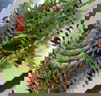 DeliLicious Bundanoon - ACT Tourism