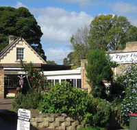 Tipsy Fig - ACT Tourism