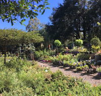Yatte Yattah Nursery  Cafe - ACT Tourism