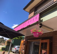 Little Niche Nosh