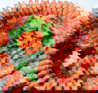 Evans Head Fishermens Co-Op - ACT Tourism