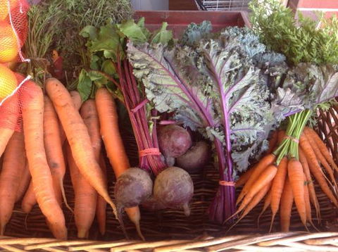 Food Lovers Market - ACT Tourism 0