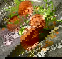 Ollie Masons Cafe - ACT Tourism