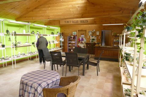 Tumut Valley Violets - ACT Tourism 0