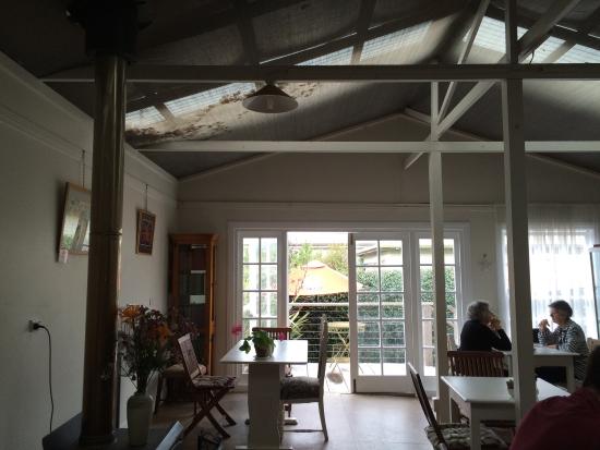 Tallowwood Ridge NSW ACT Tourism