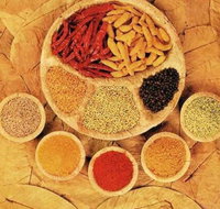 Tehzeeb Indian and Australian Restaurant - ACT Tourism