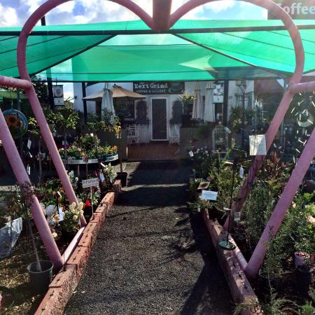 Gilgandra NSW ACT Tourism