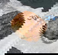 Country Kitchen Gourmet Pies - ACT Tourism