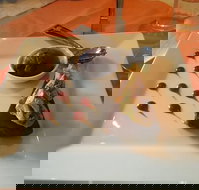 Tern Inn - ACT Tourism