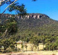 The Lolly Bug - ACT Tourism