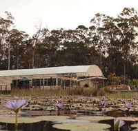 Abundance Cafe and Garden Centre - ACT Tourism