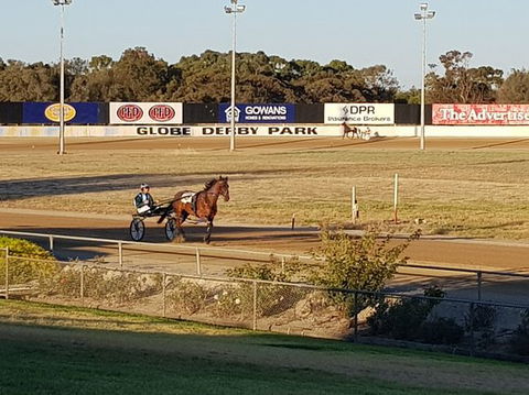 Paceway - ACT Tourism 0