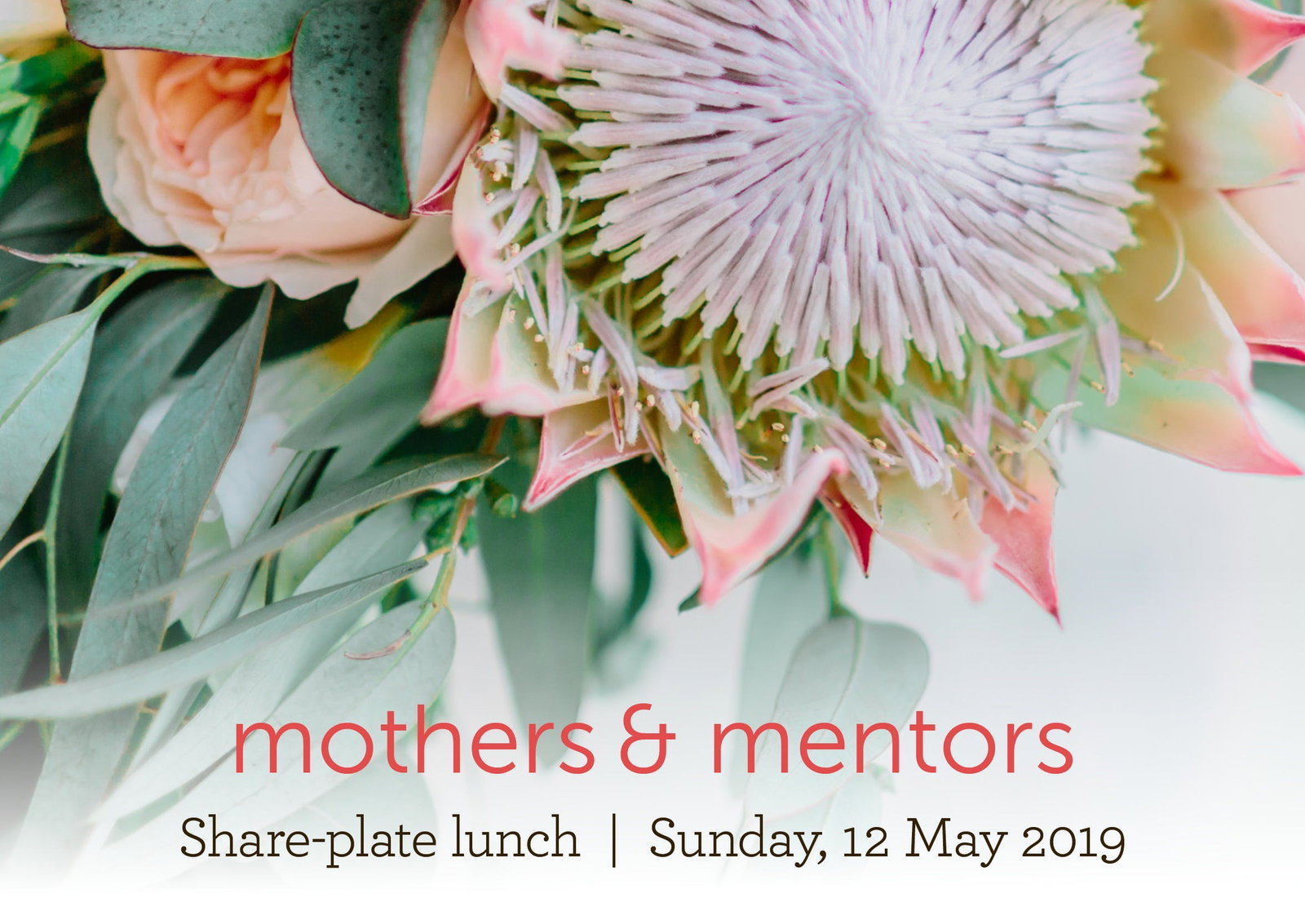 Salisbury QLD ACT Tourism