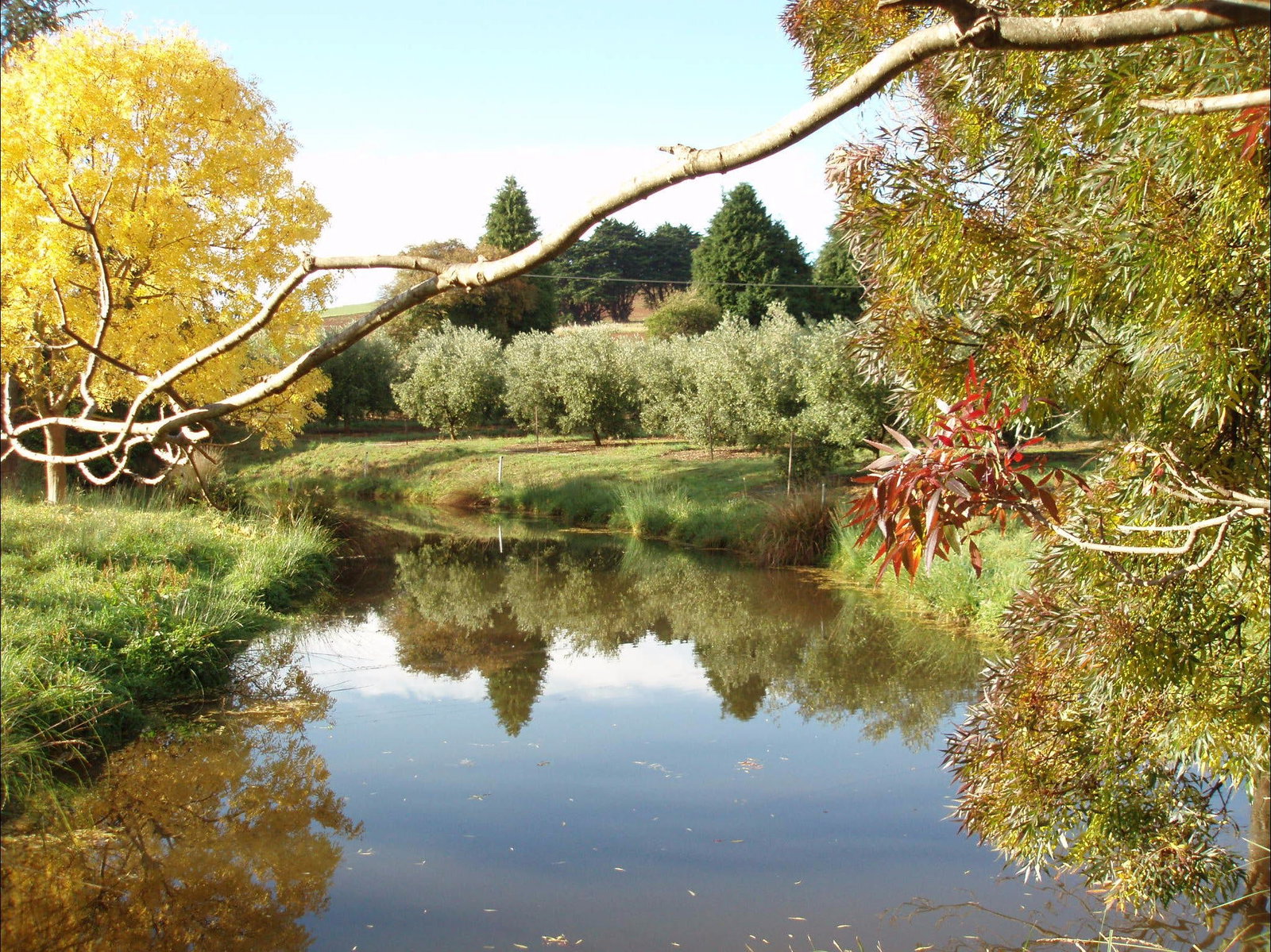 Loongana TAS ACT Tourism