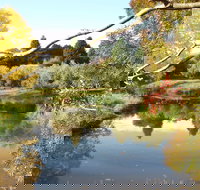 Cradle Coast Olives - ACT Tourism