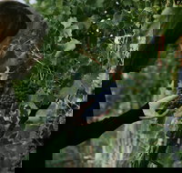 Rowlee Vine To Table Experience - ACT Tourism