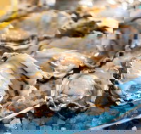 Atrium - ACT Tourism