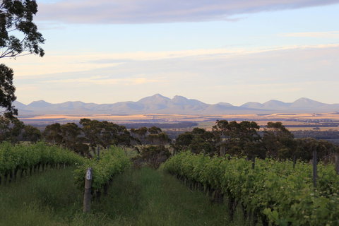 Castle Rock Estate Winery - ACT Tourism 0