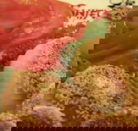 Shifu Dumpling Express - ACT Tourism