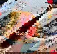 Gyradiko Bexley - Bexley - ACT Tourism