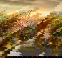 St. Hotel - ACT Tourism