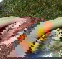 Yuri Sushi - ACT Tourism