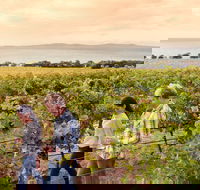 Boston Bay Wines - ACT Tourism