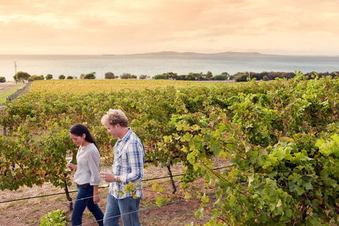 Boston Bay Wines - ACT Tourism 0