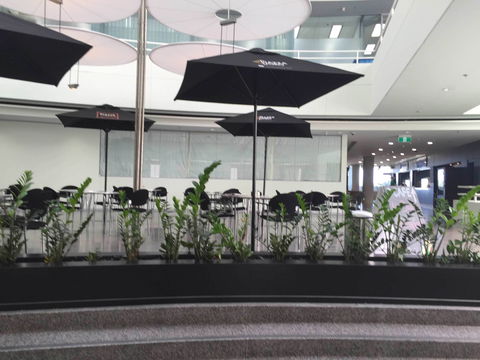 D Cafe - ACT Tourism 0